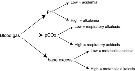 gas analysis on blood|blood gas exposed to air.